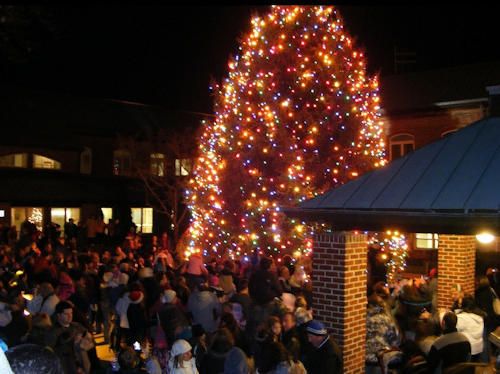 Tree Lighting